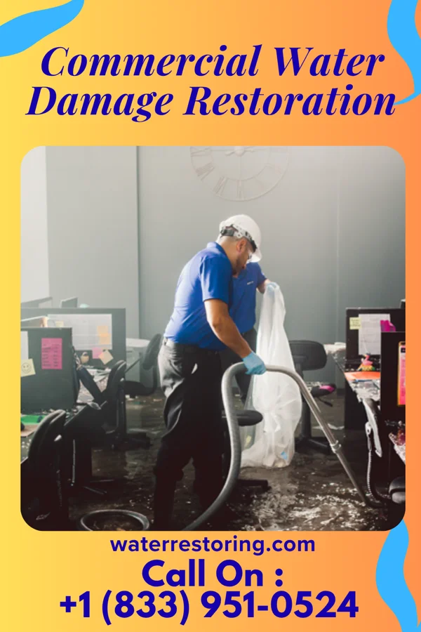 Commercial Water Damage Restoration in Pamplico, SC