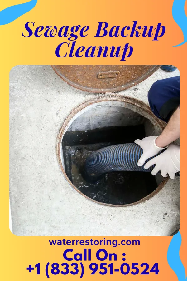 Sewage Backup Cleanup in Pamplico, SC
