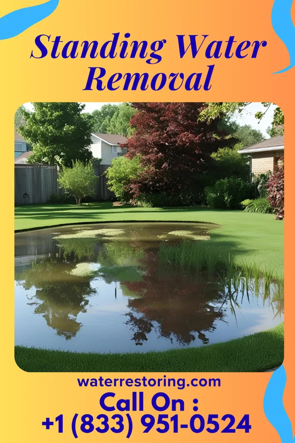 Standing Water Removal in Pamplico, SC